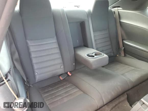 ✅ 2010 Dodge Challenger SE • VIN: 2B3CJ4DV4AH322646 • Lot: 86696424. Wystawiony na Copart z przebiegiem 173 046 mil. Bezpłatny archiwum sprzedaży aukcyjnych z USA i szczegółowy raport historii pojazdu na DreamBid. Zdjęcie 10.