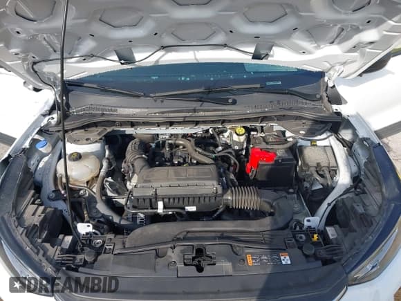 ✅ 2024 Ford Escape Active • VIN: 1FMCU0GN6RUA16904 • Lot: 43275344. Wystawiony na IAAI z przebiegiem 10 974 mil. Bezpłatny archiwum sprzedaży aukcyjnych z USA i szczegółowy raport historii pojazdu na DreamBid. Zdjęcie 10.