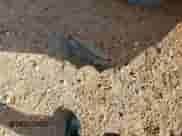 2005 Dodge Neon SXT z VIN 1B3ES56C45D254357, wystawiony jako Copart lot #59498105 z przebiegiem 98 802 mil mil oraz Szkoda całkowita • Salvage title. Historia ofert i sprzedaży dostępna na DreamBid. Obrazek 12.