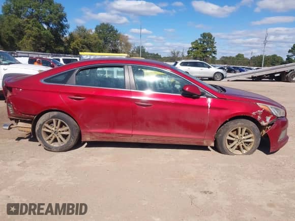 2015 Hyundai Sonata SE с VIN 5NPE24AF7FH129245, выставлен на аукционе IAAI как лот 43583432 с пробегом 181 393 миль миль и . История ставок и продаж доступна на DreamBid. Изображение 14.