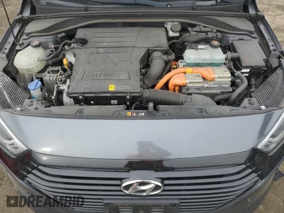 ✅ 2019 Hyundai Ioniq Blue • VIN: KMHC65LCXKU179654 • Lot: 44884735. Wystawiony na Copart z przebiegiem 114 331 mil. Bezpłatny archiwum sprzedaży aukcyjnych z USA i szczegółowy raport historii pojazdu na DreamBid. Zdjęcie 11.