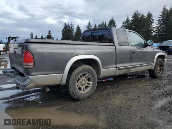 2003 Dodge Dakota SLT with VIN 1D7HL42X33S328572, listed as a Copart auction lot 43112125 with Not provided miles and Salvage title. Bid and sale history available at DreamBid. Image 3.