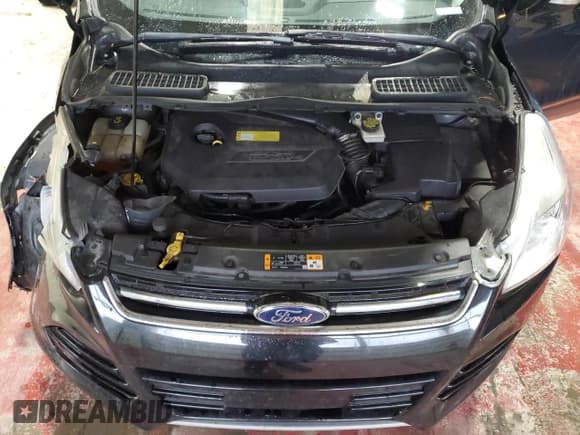 ✅ 2013 Ford Escape SEL • VIN: 1FMCU0HX0DUD67087 • Лот: 91070935. Опубликован ранее на Copart с пробегом Не указан. Бесплатный доступ к архиву аукционных продаж из США и подробный отчёт об истории автомобиля на DreamBid. Изображение 12.