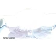 ✅ 2003 Subaru Baja Special Sports • VIN: 4S4BT62C937113138 • Лот: 89022865. Опубликован ранее на Copart с пробегом 228 716 миль. Бесплатный доступ к архиву аукционных продаж из США и подробный отчёт об истории автомобиля на DreamBid. Изображение 13.