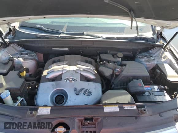 2007 Hyundai Veracruz GLS with VIN KM8NU13CX7U027551, listed as a Copart auction lot 66617194 with 180,634 mi miles and Salvage title. Bid and sale history available at DreamBid. Image 11.