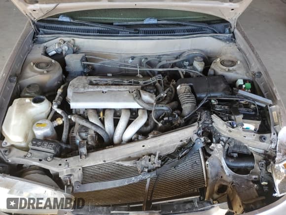 ✅ 1998 Chevrolet Prizm Lsi • VIN: 1Y1SK528XWZ435045 • Lot: 80463624. Listed on Copart with 105,906 mi. Free auction sales archive from the USA and detailed vehicle history report at DreamBid. Image 11.