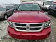 2010 Dodge Dakota SXT with VIN 1D7CW3GP8AS230686, listed as a Copart auction lot 65687704 with 110,017 mi miles and Salvage title. Bid and sale history available at DreamBid. Image 11.