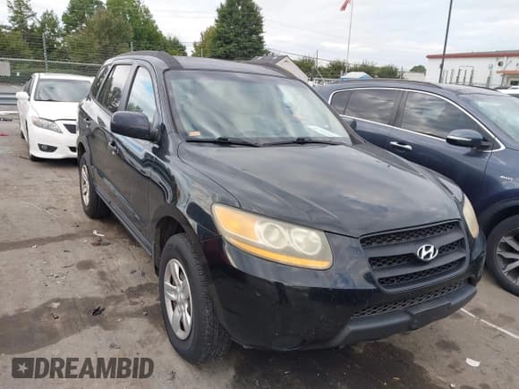 ✅ 2009 Hyundai Santa Fe GLS • VIN: 5NMSG13D29H322340 • Lot: 43335825. Listed on IAAI with 306,617 mi. Free auction sales archive from the USA and detailed vehicle history report at DreamBid. Image 1.