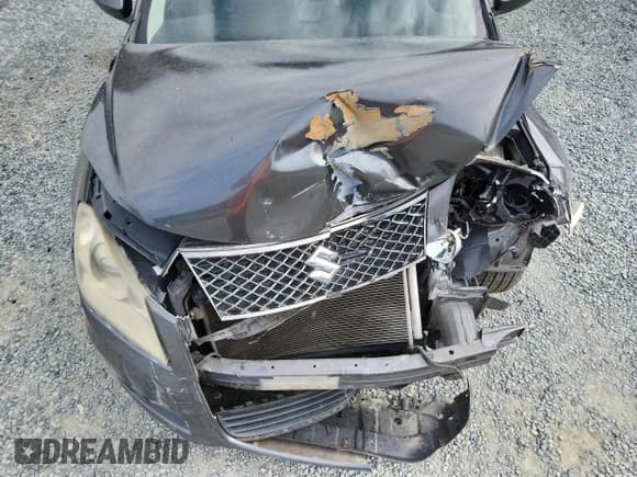 ✅ 2010 Suzuki Kizashi • VIN: JS2RE9A75A6100026 • Лот: 63735565. Опубликован ранее на Copart с пробегом 176 654 миль. Бесплатный доступ к архиву аукционных продаж из США и подробный отчёт об истории автомобиля на DreamBid. Изображение 11.