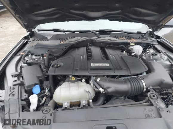 ✅ 2021 Ford Mustang GT Premium • VIN: 1FA6P8CF9M5101041 • Lot: 43562355. Listed on IAAI with 36,717 mi. Free auction sales archive from the USA and detailed vehicle history report at DreamBid. Image 10.