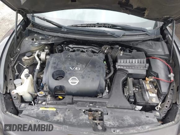 ✅ 2010 Nissan Maxima SV • VIN: 1N4AA5AP6AC875180 • Lot: 43033998. Wystawiony na IAAI z przebiegiem 139 731 mil. Bezpłatny archiwum sprzedaży aukcyjnych z USA i szczegółowy raport historii pojazdu na DreamBid. Zdjęcie 10.