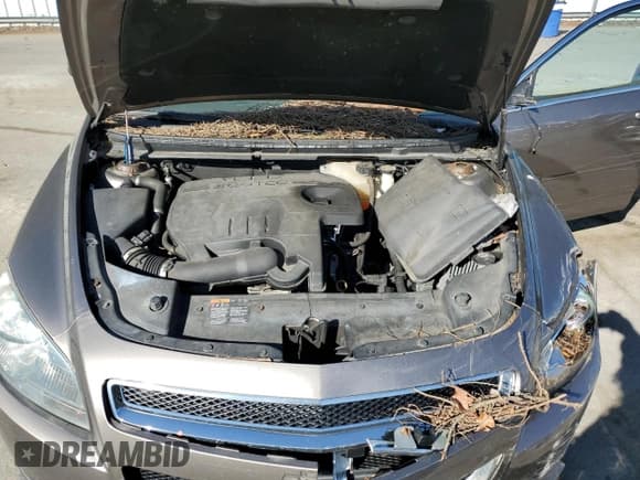 ✅ 2012 Chevrolet Malibu 1LS • VIN: 1G1ZB5E03CF255226 • Lot: 52449614. Listed on Copart with Not provided. Free auction sales archive from the USA and detailed vehicle history report at DreamBid. Image 11.