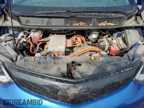 ✅ 2019 Chevrolet Bolt EV Premier • VIN: 1G1FZ6S09K4136499 • Лот: 64286235. Опубликован ранее на Copart с пробегом Не указан. Бесплатный доступ к архиву аукционных продаж из США и подробный отчёт об истории автомобиля на DreamBid. Изображение 11.