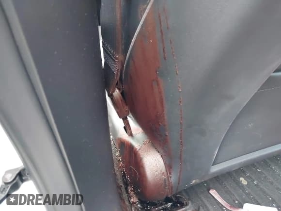 ✅ 2023 Tesla Model 3 • VIN: 5YJ3E1EA1PF492555 • Lot: 43334011. Wystawiony na IAAI z przebiegiem 36 654 mil. Bezpłatny archiwum sprzedaży aukcyjnych z USA i szczegółowy raport historii pojazdu na DreamBid. Zdjęcie 15.