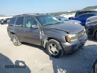 2008 Chevrolet TrailBlazer 2LT с VIN 1GNDS13S082145805, выставлен на аукционе IAAI как лот 43350537 с пробегом 162 940 миль миль и . История ставок и продаж доступна на DreamBid. Изображение 1.