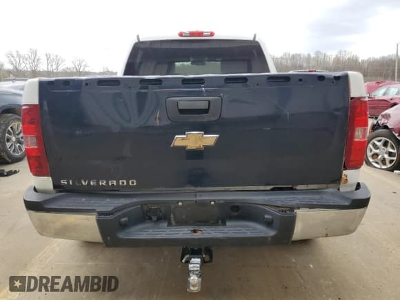 ✅ 2010 Chevrolet Silverado 1500 Work Truck • VIN: 3GCRKPE32AG158656 • Lot: 49894805. Listed on Copart with 230,051 mi. Free auction sales archive from the USA and detailed vehicle history report at DreamBid. Image 6.