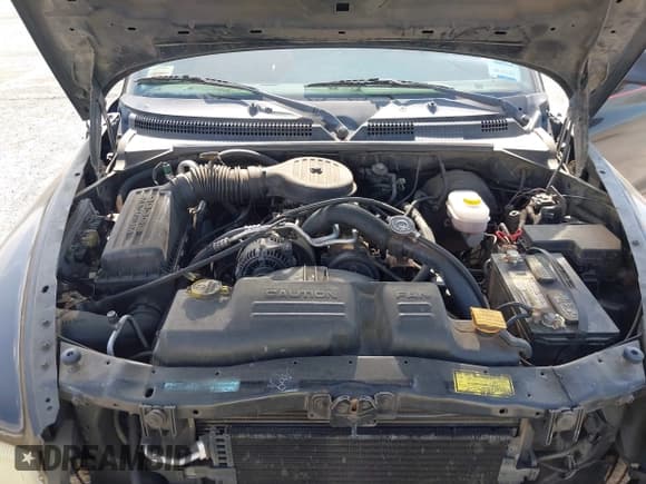 ✅ 2000 Dodge Dakota • VIN: 1B7GL22X2YS577673 • Lot: 42128456. Wystawiony na IAAI z przebiegiem Nie podano. Bezpłatny archiwum sprzedaży aukcyjnych z USA i szczegółowy raport historii pojazdu na DreamBid. Zdjęcie 10.