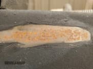 ✅ 2022 Chevrolet Silverado 1500 LT Trail Boss • VIN: 1GCPYFED7NZ192252 • Lot: 65614375. Wystawiony na Copart z przebiegiem 59 207 mil. Bezpłatny archiwum sprzedaży aukcyjnych z USA i szczegółowy raport historii pojazdu na DreamBid. Zdjęcie 13.