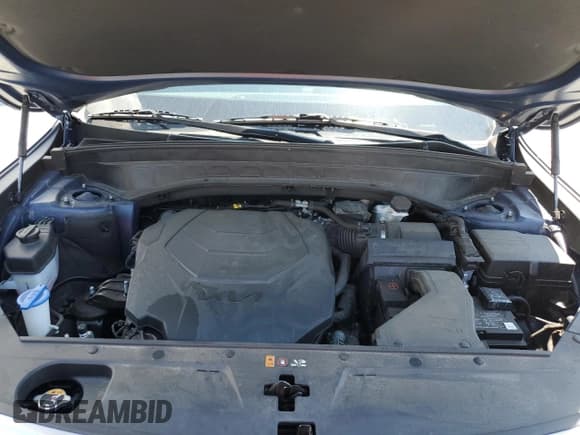 ✅ 2024 Kia Telluride S • VIN: 5XYP64GC0RG464093 • Lot: 70232685. Wystawiony na Copart z przebiegiem 57 431 mil. Bezpłatny archiwum sprzedaży aukcyjnych z USA i szczegółowy raport historii pojazdu na DreamBid. Zdjęcie 12.