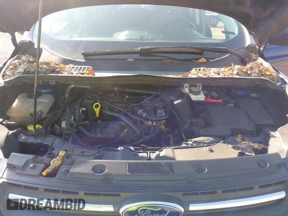 ✅ 2013 Ford Escape SE • VIN: 1FMCU0GX4DUC92864 • Лот: 43750415. Опубликован ранее на IAAI с пробегом 168 187 миль. Бесплатный доступ к архиву аукционных продаж из США и подробный отчёт об истории автомобиля на DreamBid. Изображение 10.