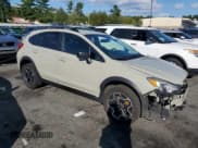 ✅ 2015 Subaru Crosstrek • VIN: JF2GPAAC5F9264541 • Lot: 81123445. Wystawiony na Copart z przebiegiem 210 931 mil. Bezpłatny archiwum sprzedaży aukcyjnych z USA i szczegółowy raport historii pojazdu na DreamBid. Zdjęcie 4.