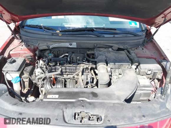 2016 Hyundai Sonata 2.4L z VIN 5NPE24AF4GH400781, wystawiony jako IAAI lot #43095554 z przebiegiem 170 365 mil mil oraz . Historia ofert i sprzedaży dostępna na DreamBid. Obrazek 10.