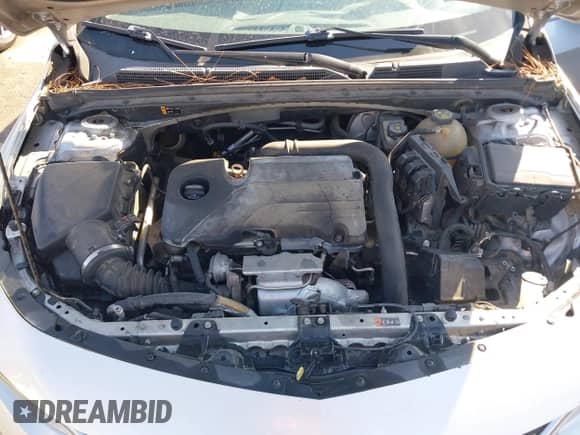 2016 Chevrolet Malibu LS z VIN 1G1ZB5ST7GF302326, wystawiony jako IAAI lot #43443175 z przebiegiem 248 647 mil mil oraz . Historia ofert i sprzedaży dostępna na DreamBid. Obrazek 10.