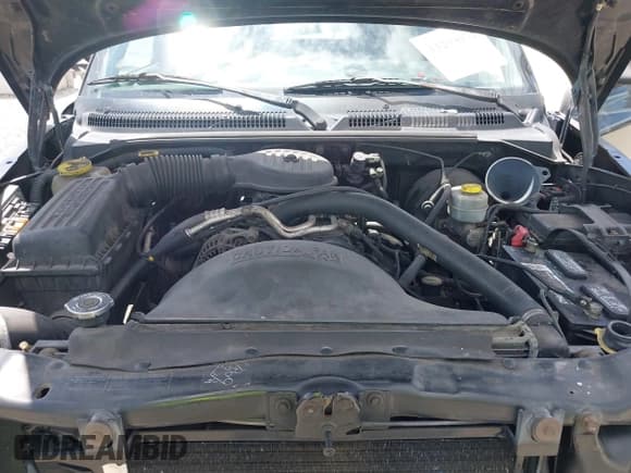 ✅ 1999 Dodge Dakota SLT • VIN: 1B7GG22X5XS107656 • Lot: 43293971. Listed on IAAI with 160,123 mi. Free auction sales archive from the USA and detailed vehicle history report at DreamBid. Image 10.