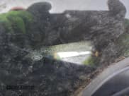 ✅ 2018 Land Rover Discovery HSE • VIN: SALRR2RV4JA069298 • Lot: 95738345. Wystawiony na Copart z przebiegiem Nie podano. Bezpłatny archiwum sprzedaży aukcyjnych z USA i szczegółowy raport historii pojazdu na DreamBid. Zdjęcie 14.