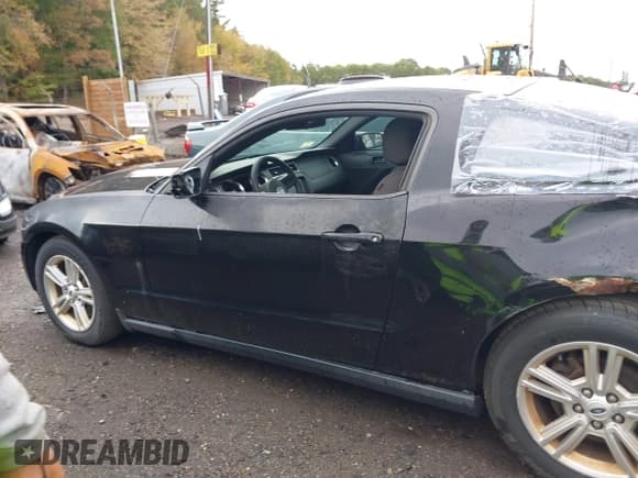 ✅ 2012 Ford Mustang Premium • VIN: 1ZVBP8AM3C5239339 • Lot: 43393515. Listed on IAAI with 170,764 mi. Free auction sales archive from the USA and detailed vehicle history report at DreamBid. Image 14.