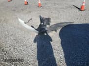 ✅ 2020 Tesla Model 3 Performance • VIN: 5YJ3E1EC8LF715069 • Lot: 85345565. Wystawiony na Copart z przebiegiem 70 017 mil. Bezpłatny archiwum sprzedaży aukcyjnych z USA i szczegółowy raport historii pojazdu na DreamBid. Zdjęcie 12.