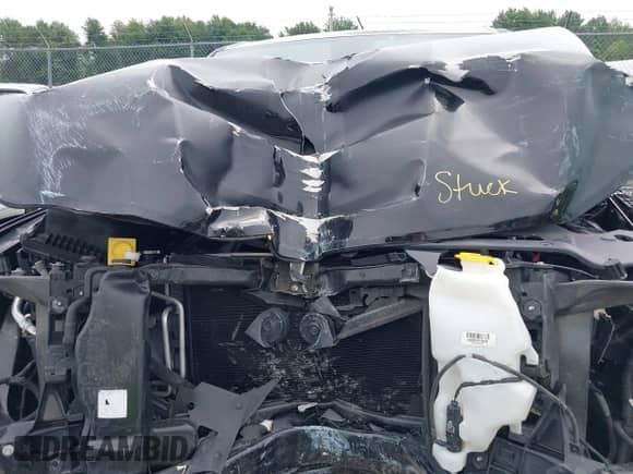 2019 Ram 1500 Big Horn z VIN 1C6SRFFT5KN510909, wystawiony jako IAAI lot #42685226 z przebiegiem 98 252 mil mil oraz . Historia ofert i sprzedaży dostępna na DreamBid. Obrazek 10.