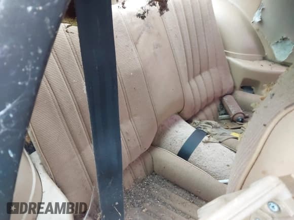 ✅ 1983 Pontiac Firebird • VIN: 1G2AS8718DN214145 • Lot: 43756736. Wystawiony na IAAI z przebiegiem Nie podano. Bezpłatny archiwum sprzedaży aukcyjnych z USA i szczegółowy raport historii pojazdu na DreamBid. Zdjęcie 8.