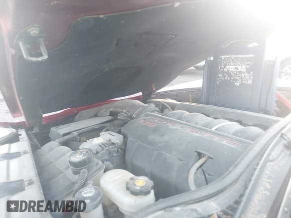 ✅ 2008 Chevrolet Corvette • VIN: 1G1YY36W985120265 • Lot: 43638631. Wystawiony na IAAI z przebiegiem 114 357 mil. Bezpłatny archiwum sprzedaży aukcyjnych z USA i szczegółowy raport historii pojazdu na DreamBid. Zdjęcie 10.