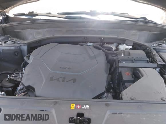 ✅ 2024 Kia Telluride SX • VIN: 5XYP54GC8RG441888 • Lot: 42046489. Listed on IAAI with Not provided. Free auction sales archive from the USA and detailed vehicle history report at DreamBid. Image 10.