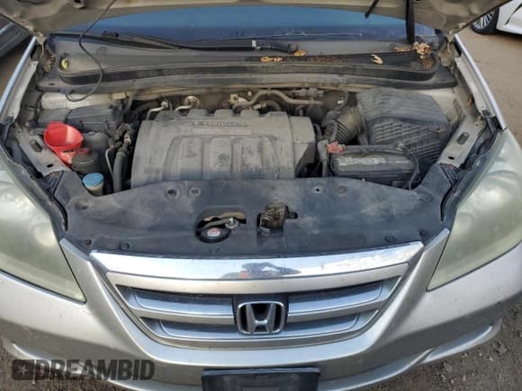 ✅ 2006 Honda Odyssey LX • VIN: 5FNRL38236B072195 • Lot: 82580595. Listed on Copart with 252,792 mi. Free auction sales archive from the USA and detailed vehicle history report at DreamBid. Image 12.