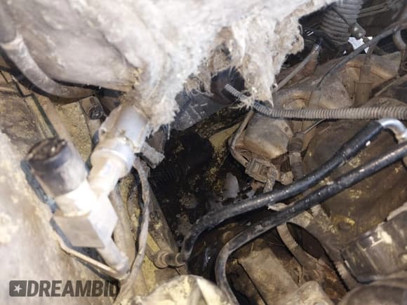 ✅ 2008 Chrysler Pacifica LX • VIN: 2A8GM48L58R627215 • Лот: 41635917. Опубликован ранее на IAAI с пробегом 218 056 миль. Бесплатный доступ к архиву аукционных продаж из США и подробный отчёт об истории автомобиля на DreamBid. Изображение 12.