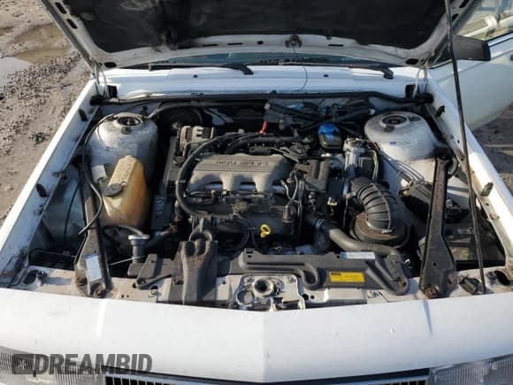 ✅ 1996 Oldsmobile Cutlass Ciera 1SA VX5 • VIN: 1G3AJ55M5T6394526 • Lot: 72783674. Wystawiony na Copart z przebiegiem 77 988 mil. Bezpłatny archiwum sprzedaży aukcyjnych z USA i szczegółowy raport historii pojazdu na DreamBid. Zdjęcie 11.