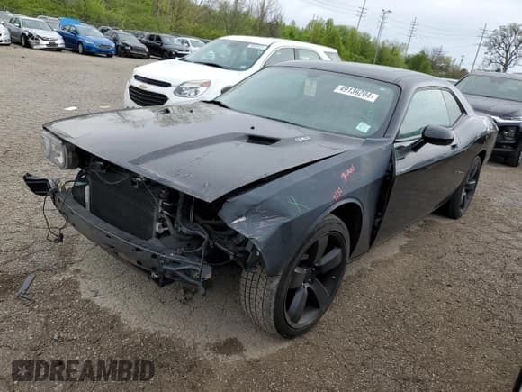✅ 2010 Dodge Challenger R/T Classic • VIN: 2B3CJ5DTXAH200412 • Lot: 49136204. Wystawiony na Copart z przebiegiem 121 063 mil. Bezpłatny archiwum sprzedaży aukcyjnych z USA i szczegółowy raport historii pojazdu na DreamBid. Zdjęcie 1.