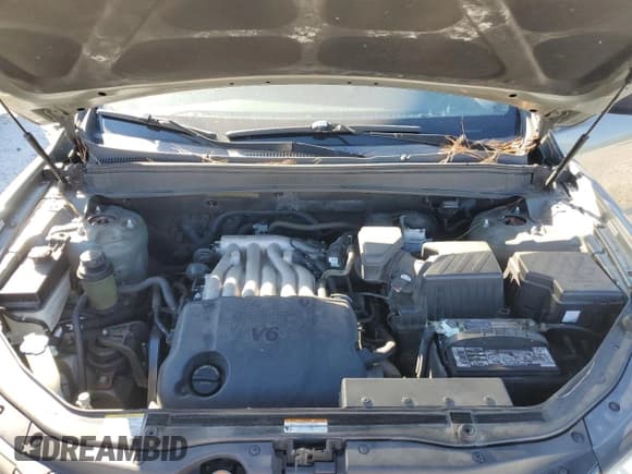 ✅ 2009 Hyundai Santa Fe GLS • VIN: 5NMSG13D69H301099 • Lot: 73309904. Listed on Copart with 167,438 mi. Free auction sales archive from the USA and detailed vehicle history report at DreamBid. Image 12.