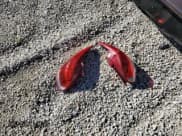 ✅ 2017 Hyundai Veloster • VIN: KMHTC6AD0HU321013 • Lot: 86071034. Wystawiony na Copart z przebiegiem 84 184 mil. Bezpłatny archiwum sprzedaży aukcyjnych z USA i szczegółowy raport historii pojazdu na DreamBid. Zdjęcie 12.