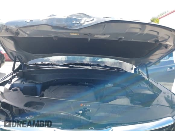 ✅ 2022 Kia Telluride EX • VIN: 5XYP34HC5NG312800 • Lot: 43560844. Wystawiony na IAAI z przebiegiem 31 164 mil. Bezpłatny archiwum sprzedaży aukcyjnych z USA i szczegółowy raport historii pojazdu na DreamBid. Zdjęcie 10.