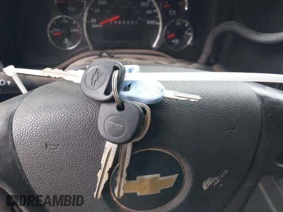 ✅ 2013 Chevrolet Express Cargo • VIN: 1GCSGAFX7D1182990 • Lot: 42900917. Wystawiony na IAAI z przebiegiem 200 639 mil. Bezpłatny archiwum sprzedaży aukcyjnych z USA i szczegółowy raport historii pojazdu na DreamBid. Zdjęcie 11.