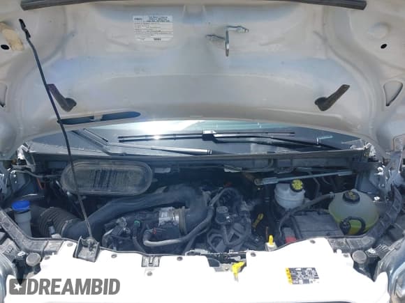 ✅ 2024 Ford Transit Passenger XL • VIN: 1FBAX9Y83RKB87058 • Lot: 42699200. Wystawiony na IAAI z przebiegiem 28 999 mil. Bezpłatny archiwum sprzedaży aukcyjnych z USA i szczegółowy raport historii pojazdu na DreamBid. Zdjęcie 10.