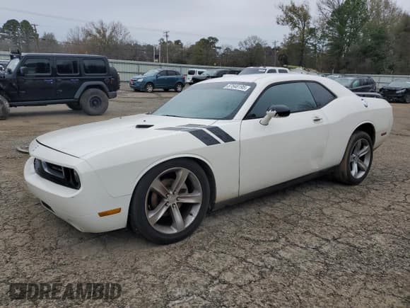 ✅ 2009 Dodge Challenger SE • VIN: 2B3LJ44V59H599575 • Lot: 87548195. Wystawiony na Copart z przebiegiem 229 216 mil. Bezpłatny archiwum sprzedaży aukcyjnych z USA i szczegółowy raport historii pojazdu na DreamBid. Zdjęcie 1.