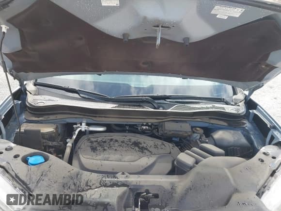 ✅ 2024 Honda Passport EX-L • VIN: 5FNYF8H55RB017780 • Lot: 42991396. Wystawiony na IAAI z przebiegiem 12 463 mil. Bezpłatny archiwum sprzedaży aukcyjnych z USA i szczegółowy raport historii pojazdu na DreamBid. Zdjęcie 10.