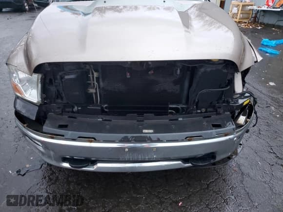 ✅ 2009 Dodge 1500 SLT • VIN: 1D3HV18T89S824250 • Lot: 84921584. Wystawiony na Copart z przebiegiem Nie podano. Bezpłatny archiwum sprzedaży aukcyjnych z USA i szczegółowy raport historii pojazdu na DreamBid. Zdjęcie 12.