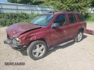 2009 Chevrolet TrailBlazer 1LT z VIN 1GNDT33S692102497, wystawiony jako Copart lot #80530635 z przebiegiem 312 253 mil mil oraz Czysty tytuł • Clean title. Historia ofert i sprzedaży dostępna na DreamBid. Obrazek 1.