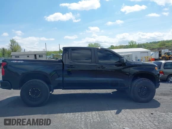 ✅ 2023 Chevrolet Silverado 1500 RST • VIN: 1GCUDEEL0PZ196324 • Lot: 42187329. Listed on IAAI with 28,618 mi. Free auction sales archive from the USA and detailed vehicle history report at DreamBid. Image 13.