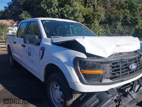 ✅ 2024 Ford F-150 XL • VIN: 1FTEW1LP8RKD02429 • Lot: 43513174. Wystawiony na IAAI z przebiegiem 9 315 mil. Bezpłatny archiwum sprzedaży aukcyjnych z USA i szczegółowy raport historii pojazdu na DreamBid. Zdjęcie 13.